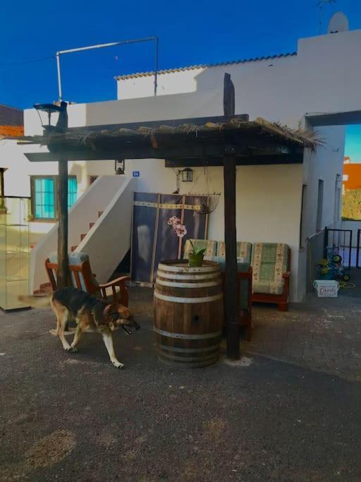 Acogedor Apartamento Verodes De Una Habitacion. San Miguel de Abona Exteriör bild